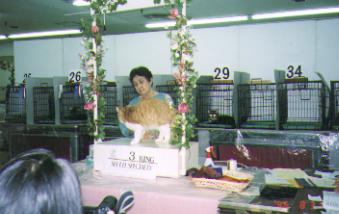 show02
